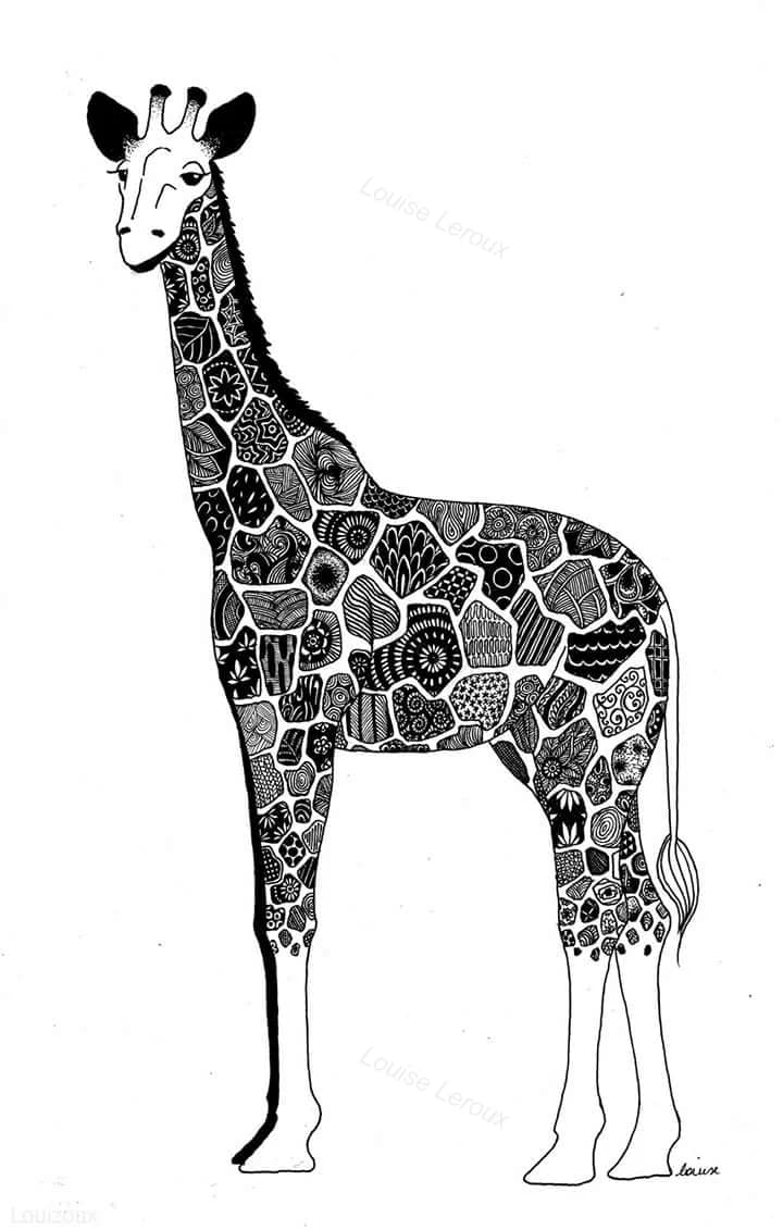Illustration 4