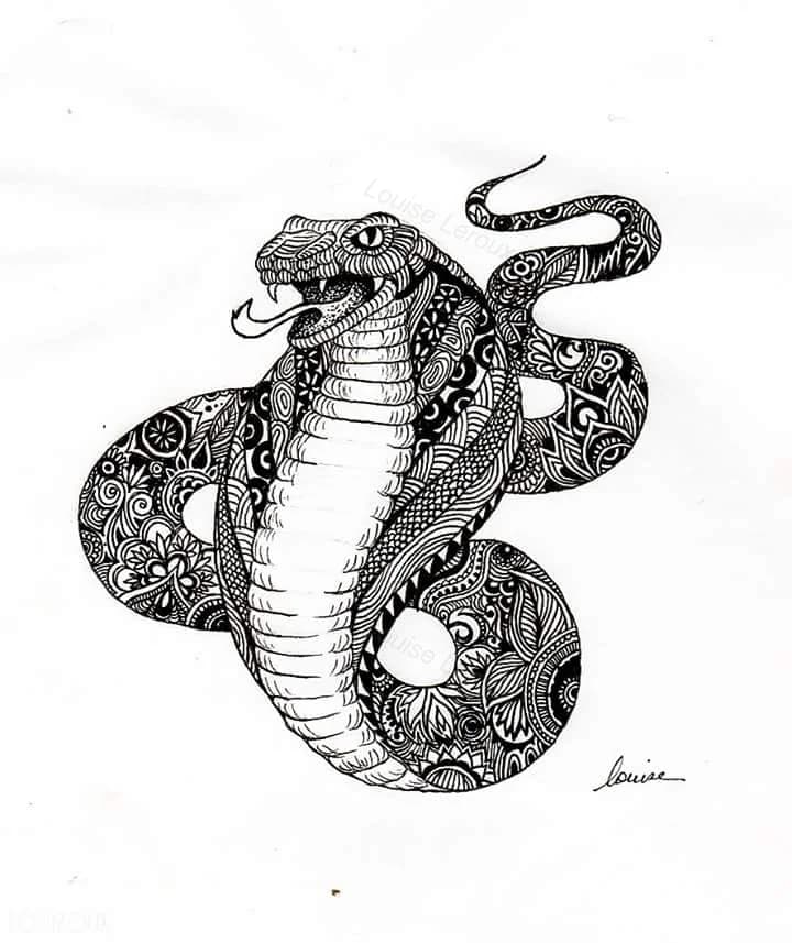 Illustration 5