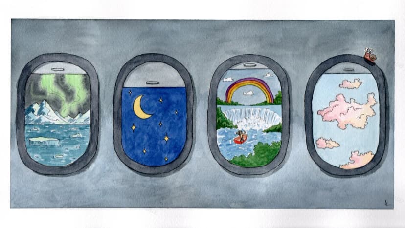 Illustration 6